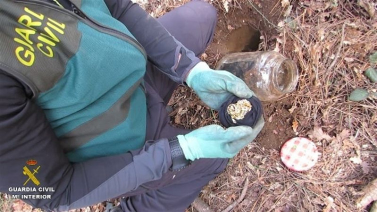 Desmantelan una banda que cometió robos en al menos 50 casas