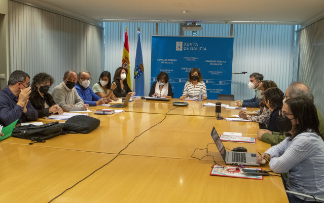 Archivo - La directora xeral de Recursos Humanos del Sergas, Ana Comesaña Álvarez, preside la reunión de la mesa sectorial de sanidad