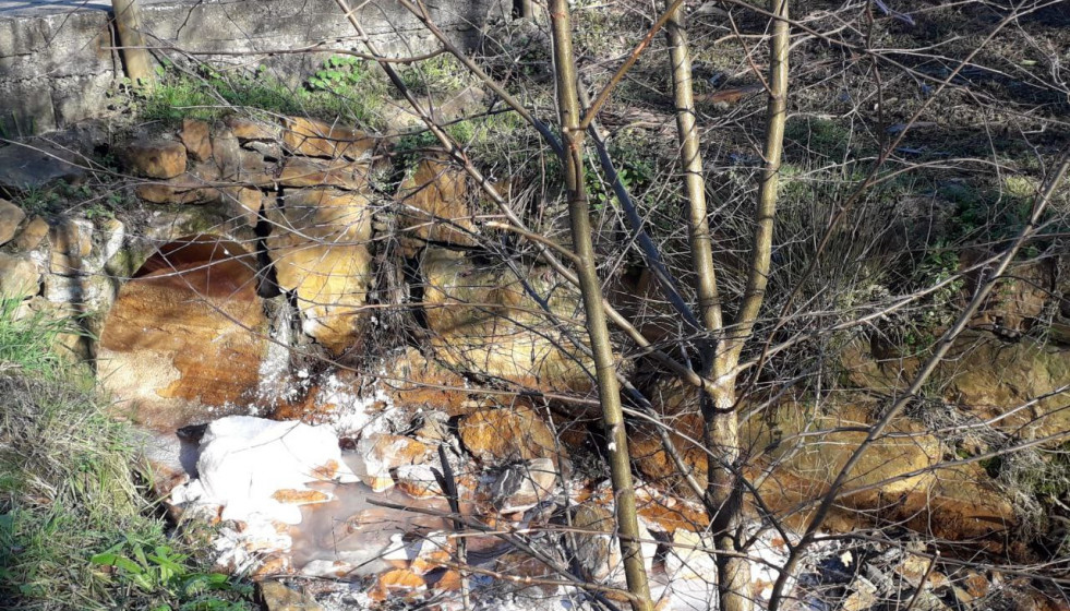 El Portapego contaminado en Touro en una foto remitida por Ecologistas en Acción el 7 de febrero