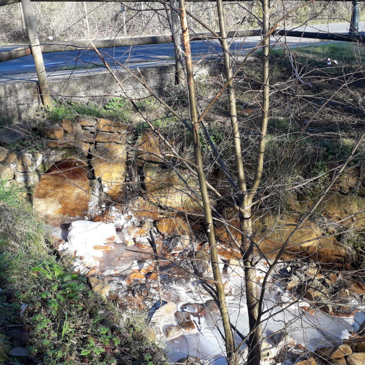 El Portapego contaminado en Touro en una foto remitida por Ecologistas en Acciu00f3n el 7 de febrero
