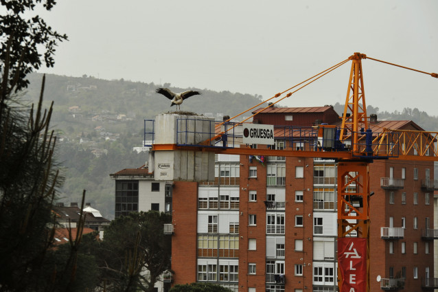 Archivo - Dos cigüeñas, conocidas como ‘Luisa’ y ‘Carlos’, en un nido instalado en una grúa en el barrio de As Barrocás, a 31 de marzo de 2021, en Ourense, Galicia (España). Este es uno de los dos nidos de cigüeñas para los que Amigos das Cegoñas y Ecolog
