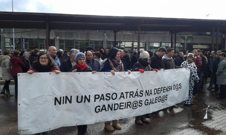 ​Os gandeiros chegarán 