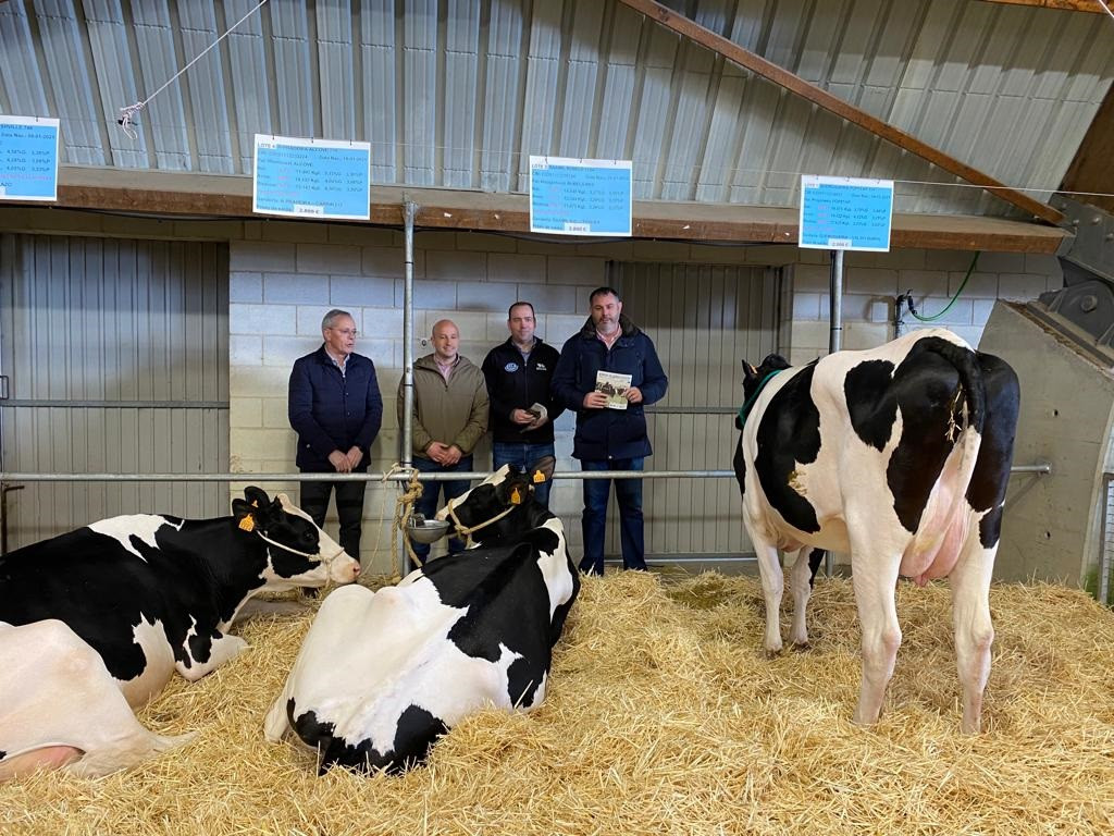 El director xeral de Gandería, Agricultura e Industrias Agroalimentarias, José Balseiros, en la IV subasta de ganado de raza frisona, en el marco de la XXIV edición de la Festa do Lacón con Grelos