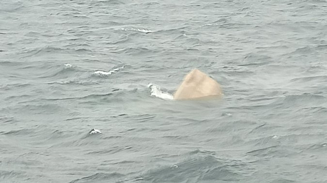 Imagen del supuesto narcosubmarino localizado frente a Vilaxou00e1n en una foto de la CRTVG