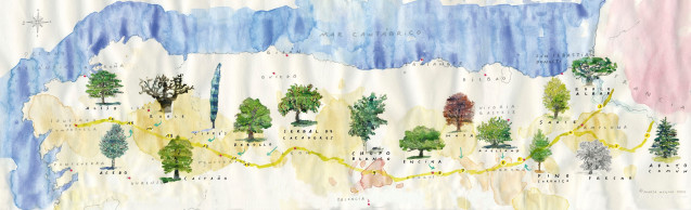 Guía de árboles del Camino Francés.