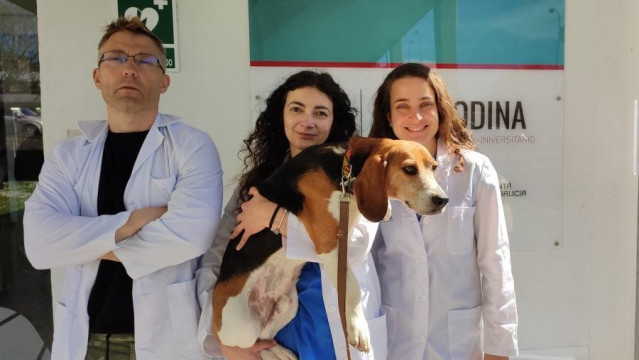 Los investigadores del Campus Terra de la USC Ángela González Martínez, Susana Muñíz de Miguel y el profesor del área de Producción Animal Francisco Javier Diéguez.
