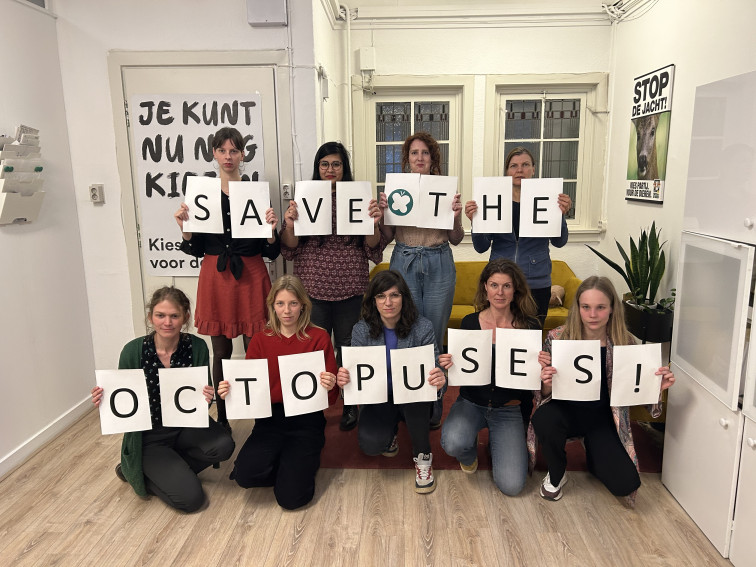 La granja de pulpos los sacrificará 