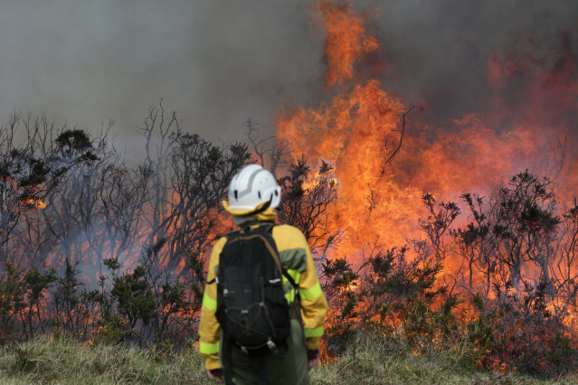 Un efectivo de la Xunta con base en Becerreá trabajan para extinguir las llamas en un incendio forestal, a 29 de marzo de 2023, en Baleira, Lugo, Galicia (España). El incendio forestal que afecta al ayuntamiento lucense de Baleira ha alcanzado las 120 hec