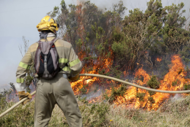 Un efectivo de la Xunta con base en Becerreá trabajan para extinguir las llamas en un incendio forestal en Baleira.