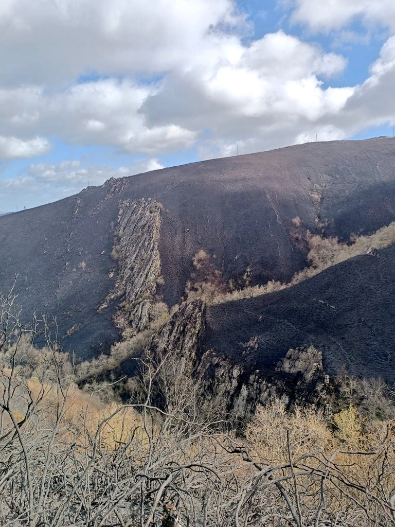 Monte arrasado en Baleira en una foto de la Brif de Laza
