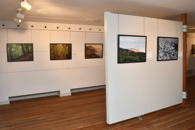 Exposición sobre los bosques de España