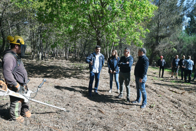 El conselleiro do Medio Rural, José González, supervisa las tareas de desbroce en un polígono agroforestal en Ourense.