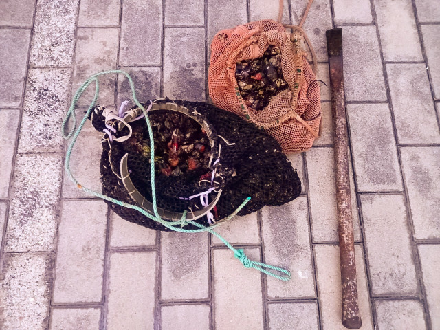 La Policía Autonómica incauta cuatro kilos de percebe en A Coruña