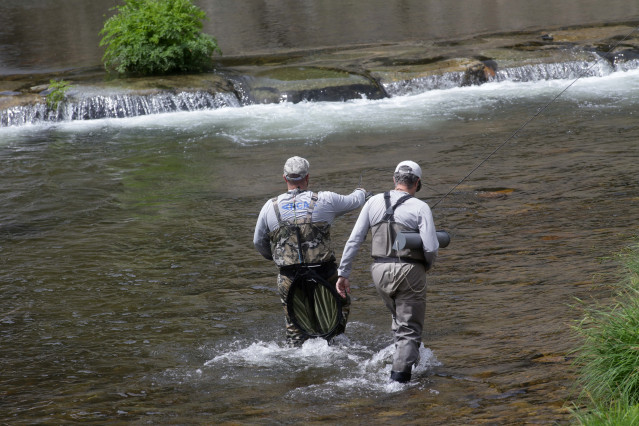 Dos pescadores realizan un lance en el Río Eo a su paso por A Pontenova, durante la celebración de la XLIII Festa da Troita