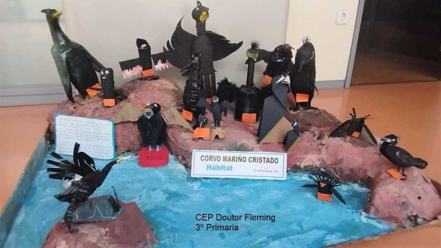 La Xunta ha comunicado que más de 440 alumnos y alumnas de infantil y primaria visitarán, en mayo, el Parque Nacional das Illas Atlánticas como premio del certamen educativo 'O Parque Nacional coa Escola', promocionado por el gobierno autonómico.