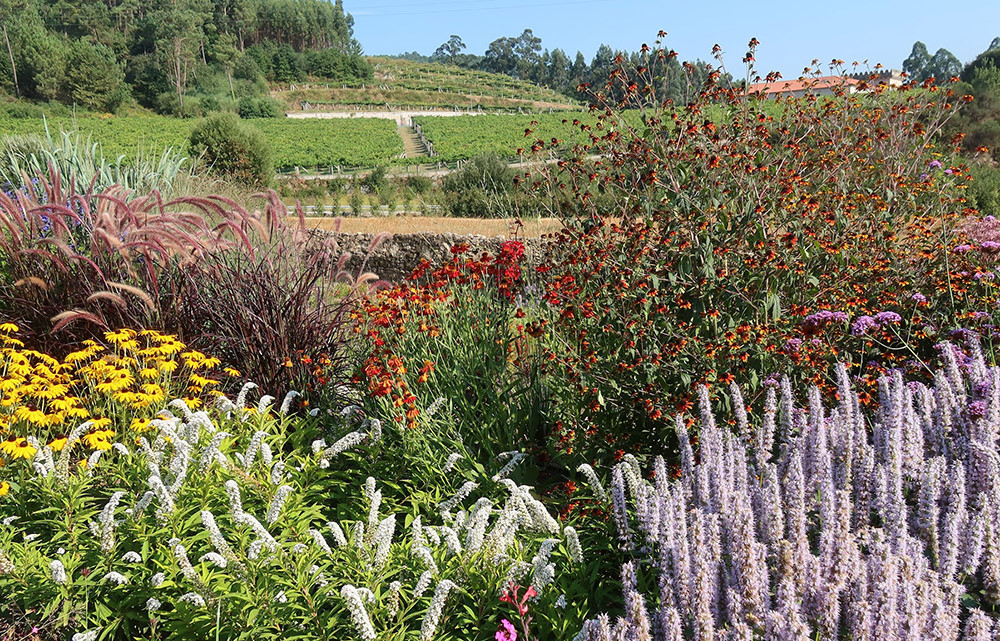 Pazo Casalnovo jardu00edn