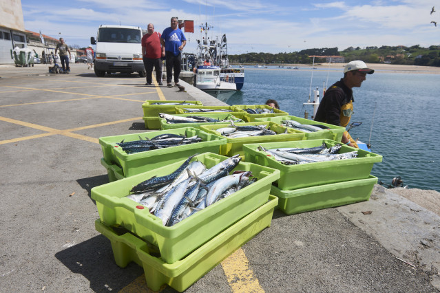 Archivo - Cajas de pescado en las inmediaciones donde está amarrado un barco gallego del que un pescador cayó al mar y se encuentra desaparecido, durante un dispositivo de búsqueda en el puerto de San Vicente de la Barquera, a 25 de abril de 2023, en San