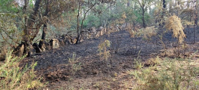 Pillado in fraganti un hombre prendiendo un incendio forestal en Seixalbo (Ourense)