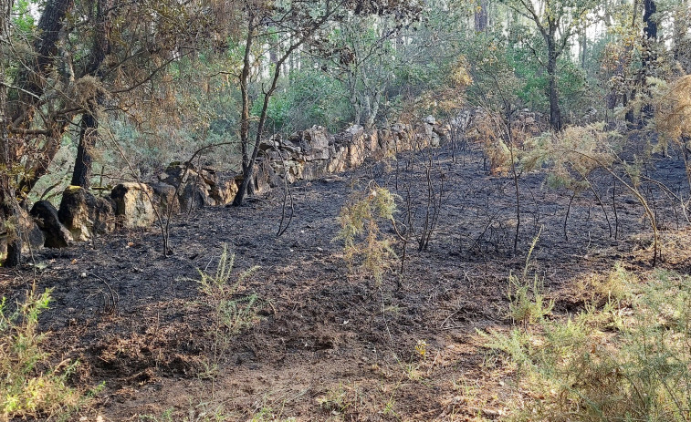 Un estudio aborda la relación entre los indendios forestales y el cambio climático