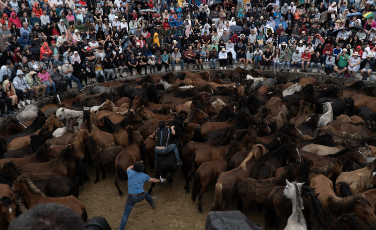 La Rapa das Bestas de Sabucedo cuelga el 'No hay billetes' para el primer curro