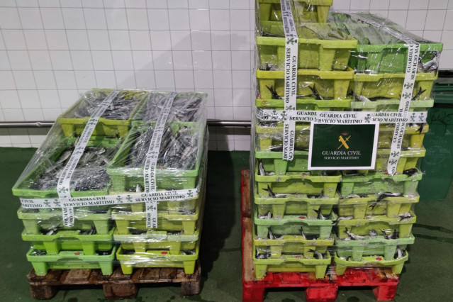 Incautados casi 800 kilos de sardina en Sada de una embarcación que excedía el tope de capturas
