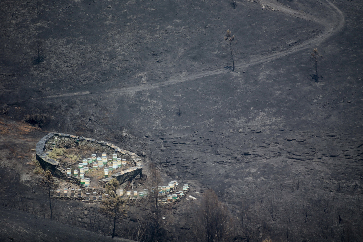 Archivo - Vista general de la zona afectada por el fuego de Folgoso do Courel, a 20 de julio de 2022, en Folgoso do Courel, Lugo, Galicia (España). La Consellería de Medio Rural ha elevado a más 1.