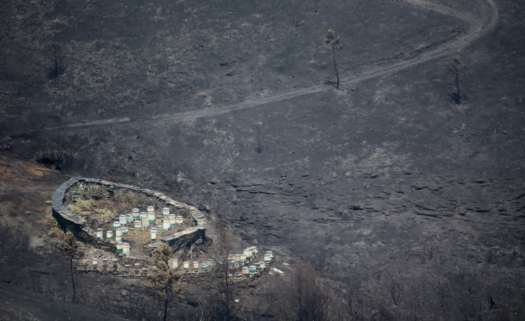 Un año de los mayores fuegos de Galicia: caminos y casas destrozados, turbidez del agua y reordenación pendiente