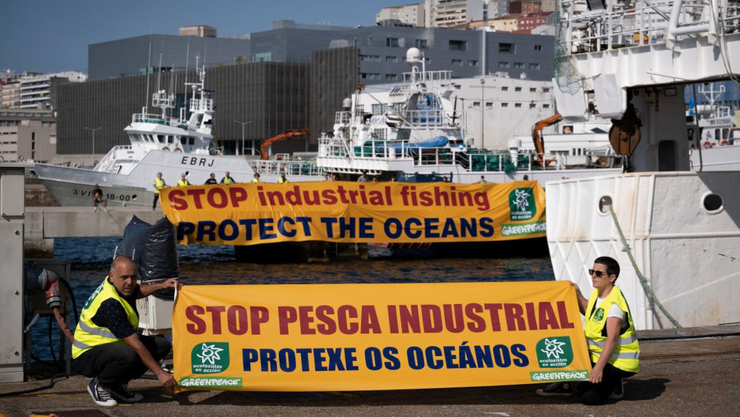 Protesta contra los arrastreros y la pesca industrial en Vigo en una foto de Greenpeace y Ecoloxistas en Acciu00f3n