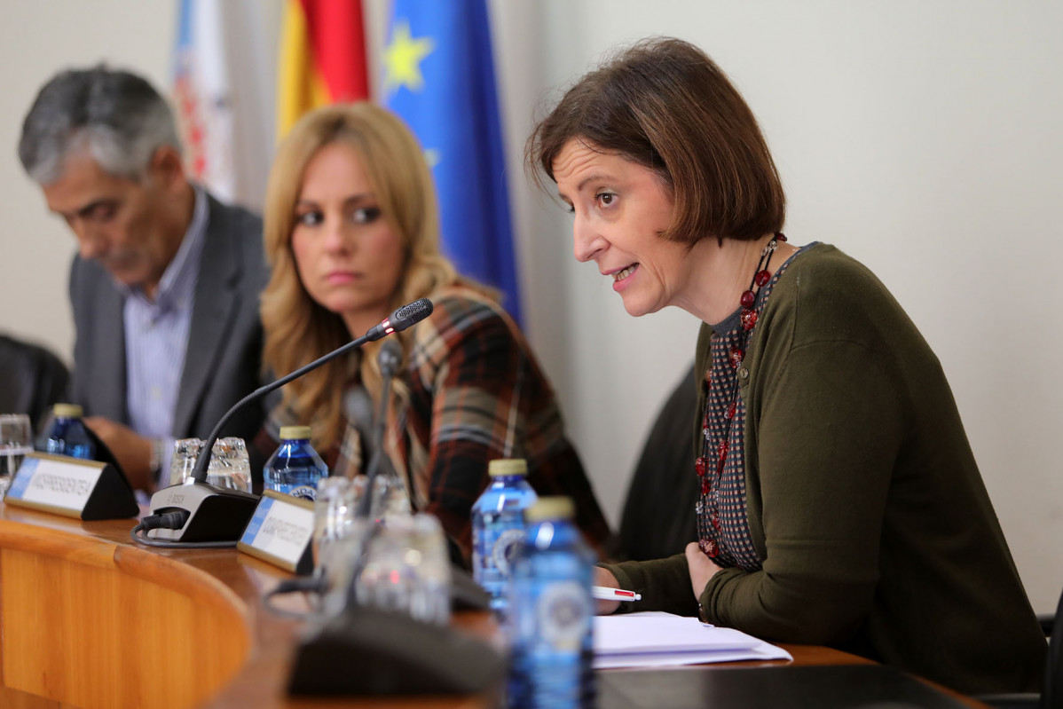 La directora de Augas de Galicia, Teresa Gutiu00e9rrez, en una foto de archivo de la Xunta en el  Parlamento de Galicia