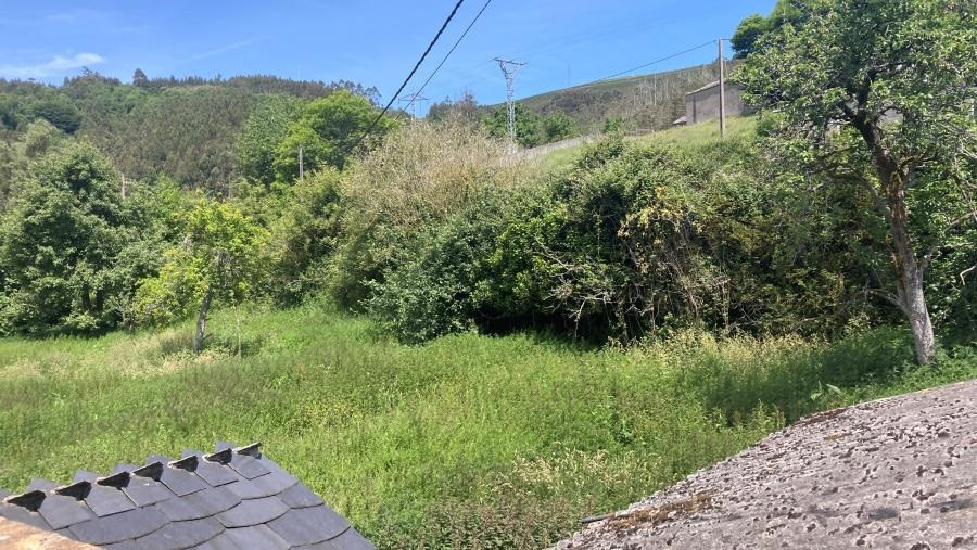 Lugar en el que se llevarán a cabo los trabajos arqueológicos.