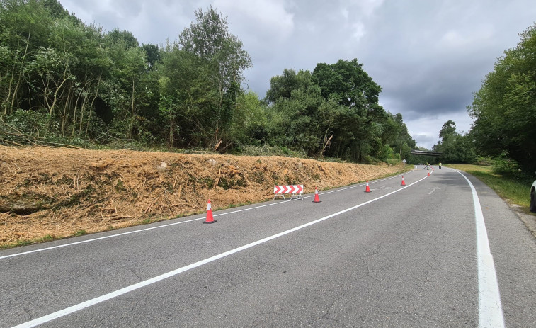 La Xunta limpiará esta semana los márgenes de la carretera OU-902 a su paso por O Carballiño y O Irixo