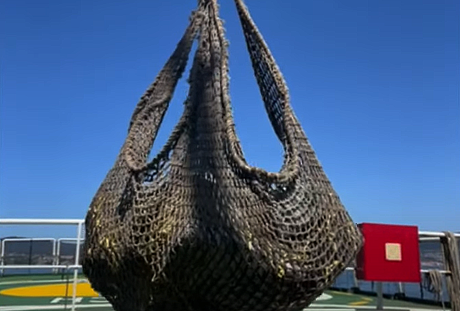 Fardos de coca descargados desde el Petrel en una foto primicia de Narcodiario