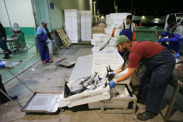 Archivo - Descarga de pescado