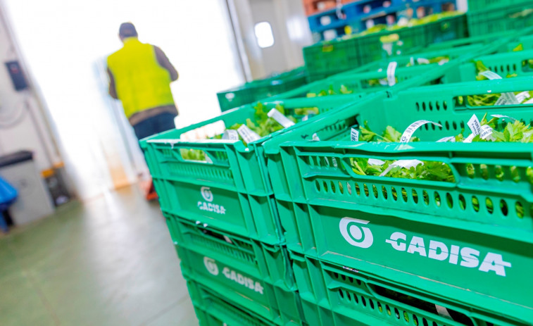 Mercadona, Gadis y Froiz, entre los supermercados más baratos en Ourense y Pontevedra