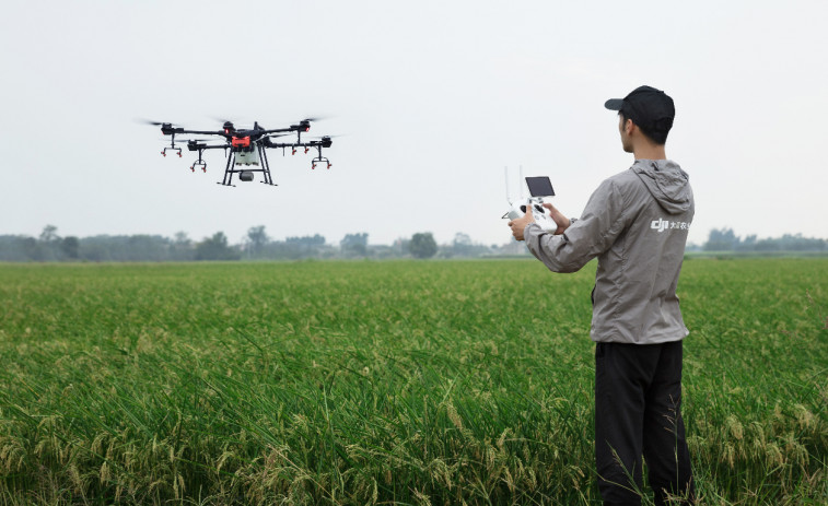 Agricultores gallegos empiezan a probar drones para cuidar los cultivos (vídeo)