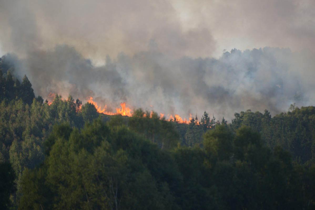 Incendio forestal en la parroquia de Belesar, a 6 de agosto de 2023, en Vilalba, Lugo, Galicia (España). Varios medios de extinción, terrestres y aéreos, fueron movilizados en la noche del domingo 