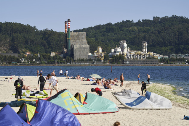Archivo - Biofábrica de Ence en Pontevedra