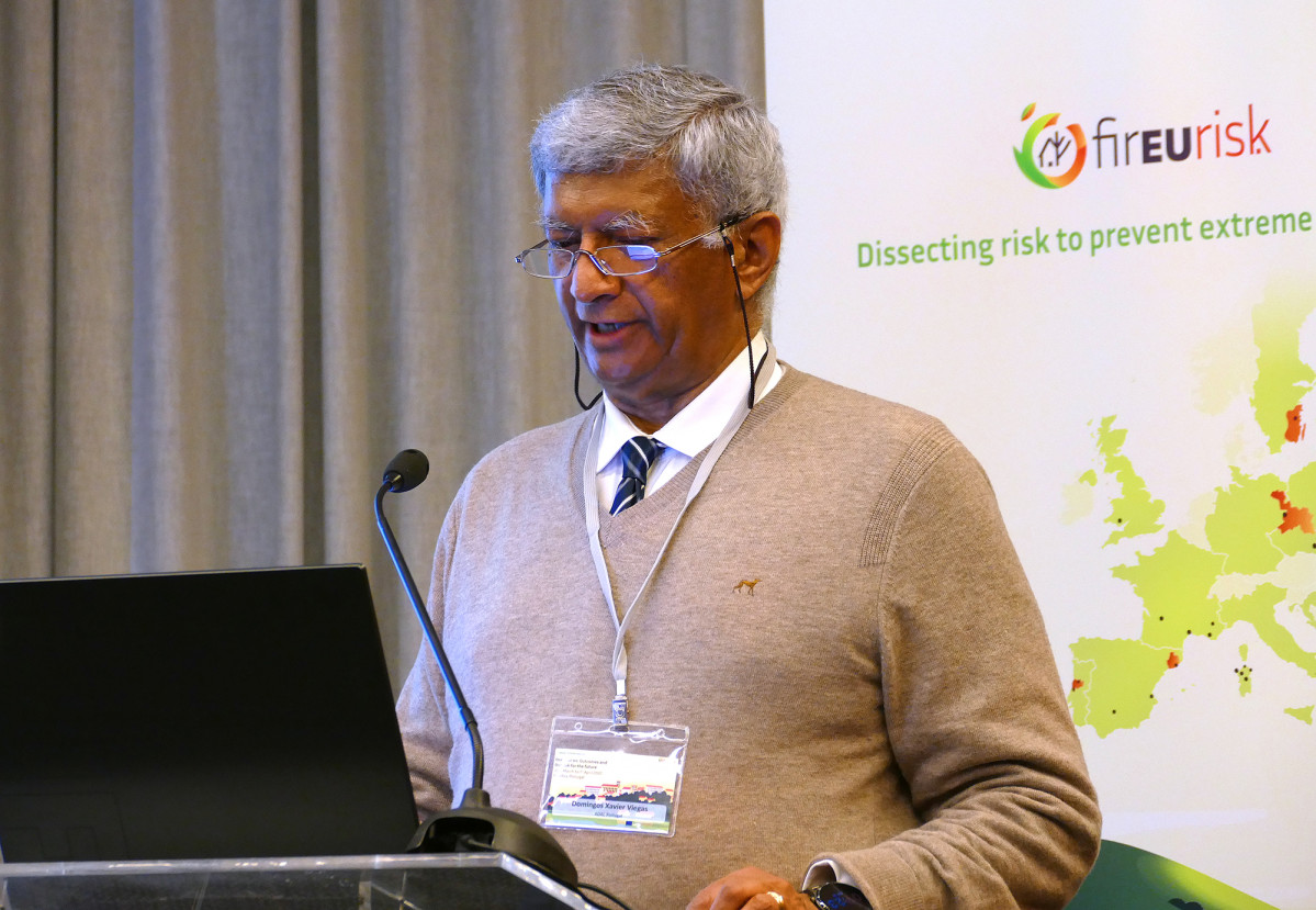 Photo 2 Domingos Xavier Viegas 2