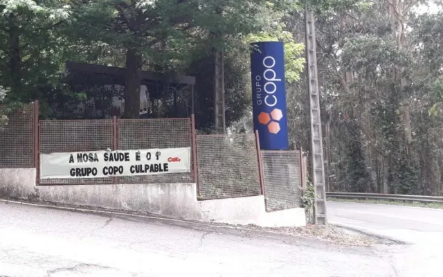 Copo ibu00e9rica cut