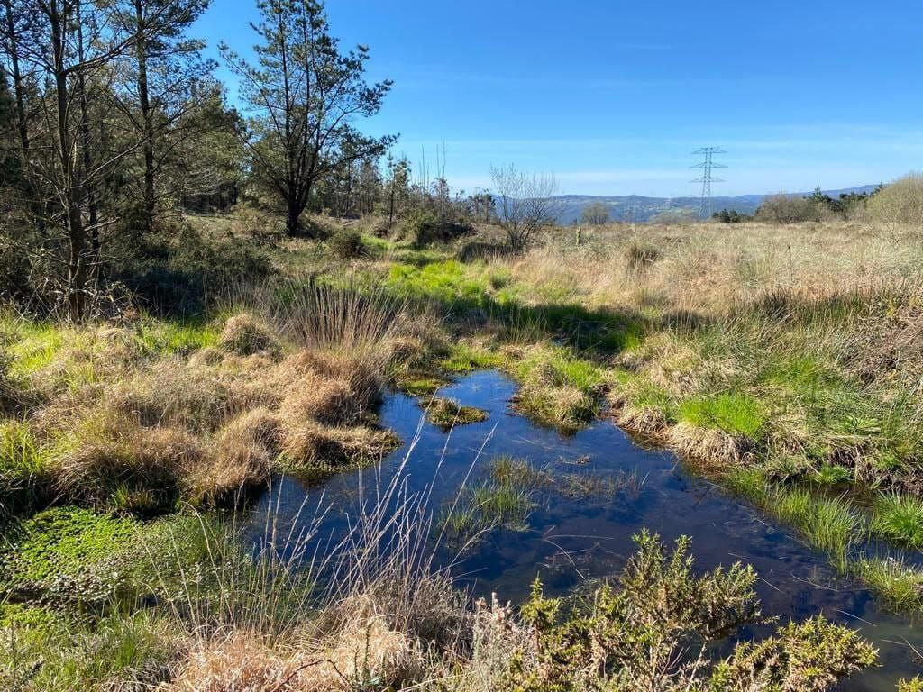 Photo 2023 08 28 10 58 17