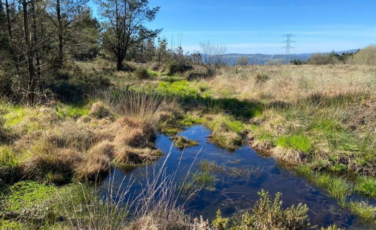 La amenaza del Parque Eólico de Banzas de Green Capital Power sobre los humedales llega hasta la Justicia