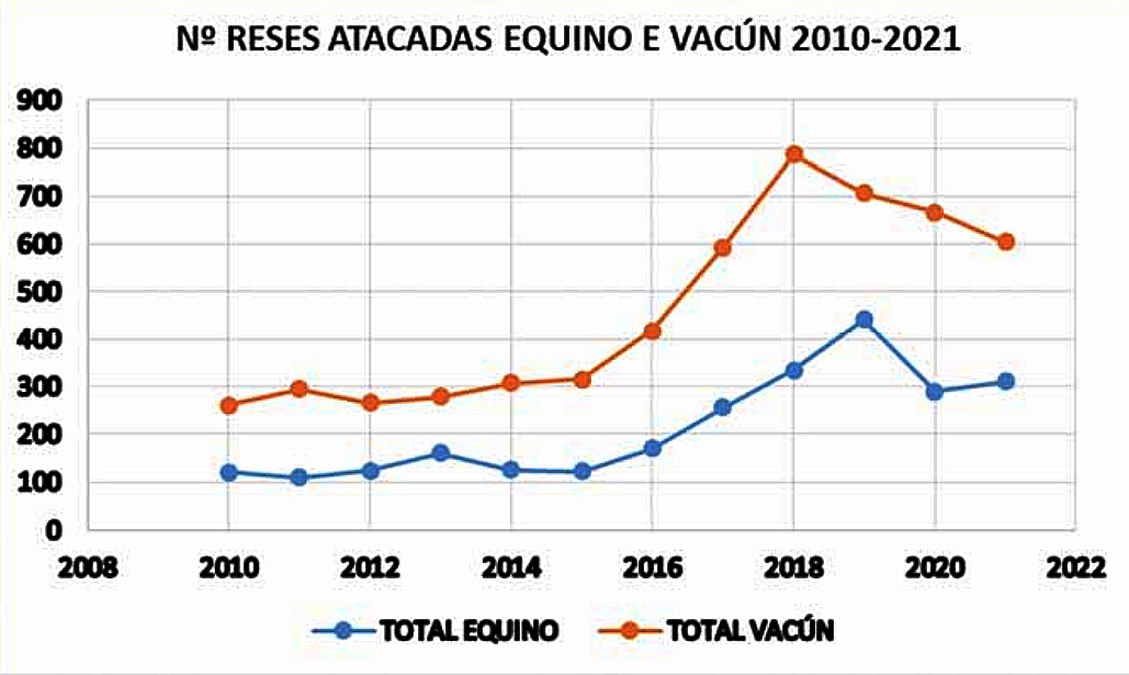 Reses atacadas por lobo en Galicia segun el informe Infolobo de la Xunta