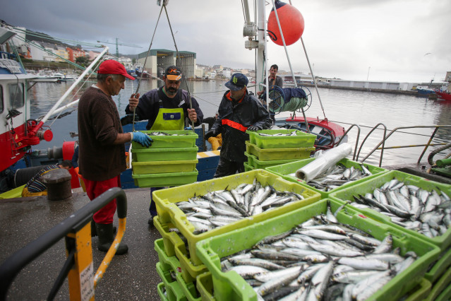 Archivo - Cajas de pescado a su llegada al Puerto de Burela.
