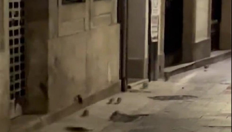 Ratas en la calle Galera, de A Coruña