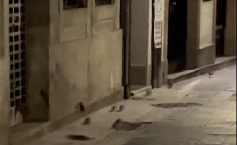 (VÍDEO) Decenas de ratas corren de madrugada por la calle Galera de A Coruña