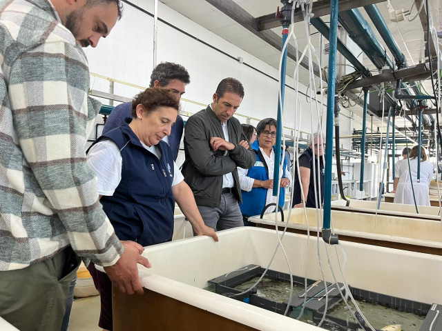El conselleiro do Mar, durante su visita al Centro de Cultivos Mariños de Ribadeo.
