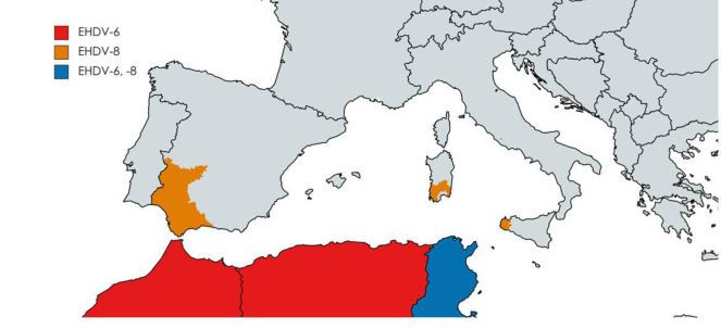 Expansiu00f3n de la covid de las vacas hasta principios de 2023