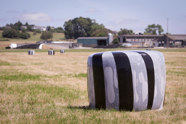 Archivo   d23f8d736160a739b6e5a23b568283bf