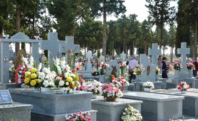 Los cementerios pueden convertirse en un nido para el mosquito tigre con motivo del Día de Todos los Santos