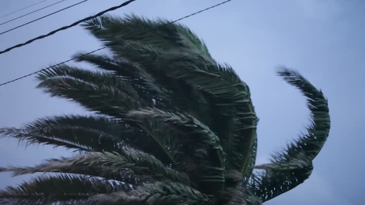 La borrasca Domingos golpeará Galicia con vientos huracanados poco después de irse Ciarán (vídeos)